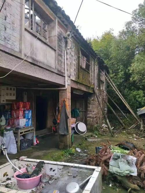 最新塌房爆料,塌房事件频发,明星形象再受冲击